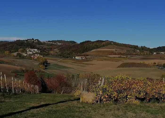 La Bella Vite