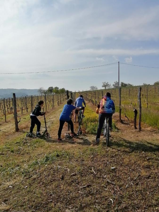 La Bella Vite Moncalvo