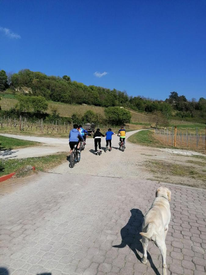 Frühstückspension La Bella Vite Moncalvo