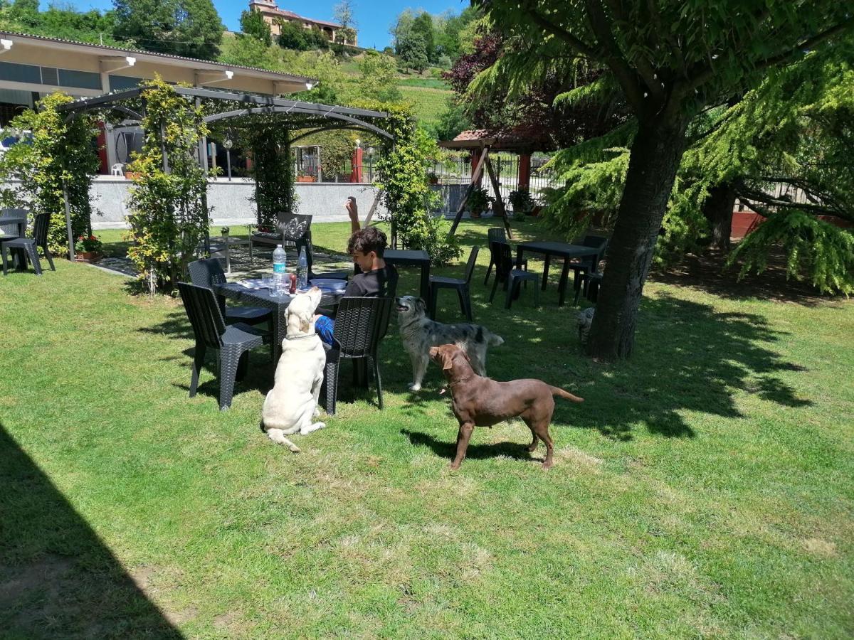 La Bella Vite Moncalvo