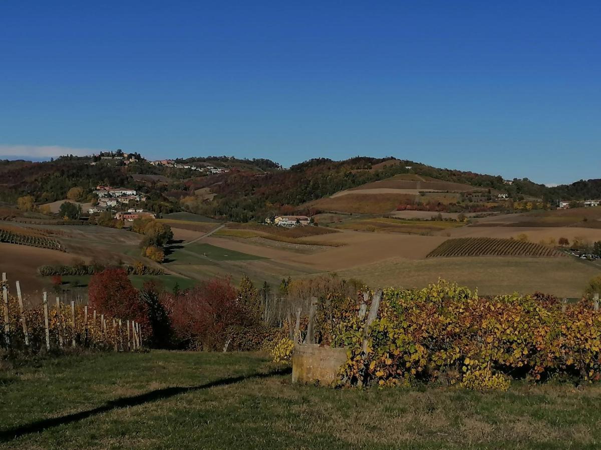 La Bella Vite Moncalvo