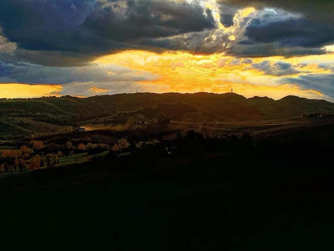 La Bella Vite Moncalvo